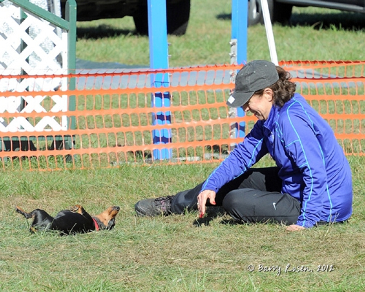 Doing agility and bonding with Roxie, the little d